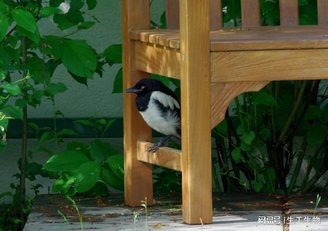 ——梅尔祖卡沙漠的风、光与寂静之梦冰球突破游戏摩洛哥撒哈拉金色回廊(图2) ——梅尔祖卡沙漠的风、光与寂静之梦冰球突破游戏摩洛哥撒哈拉金色回廊(图2)